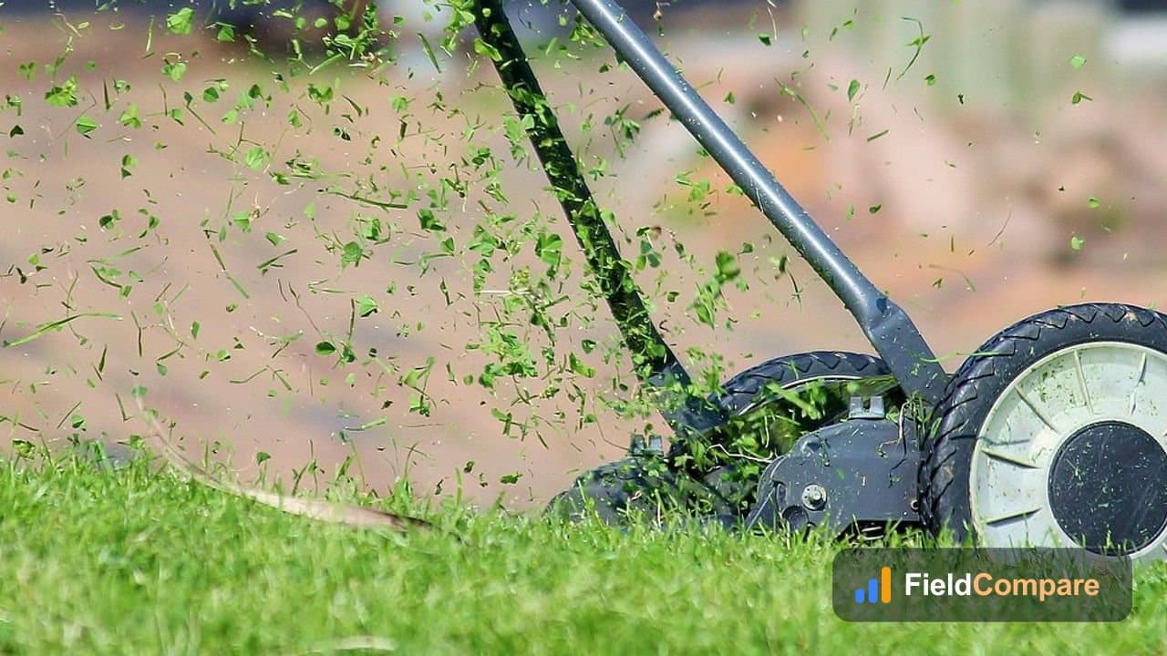 How to Start a Lawn Care Business (2026)